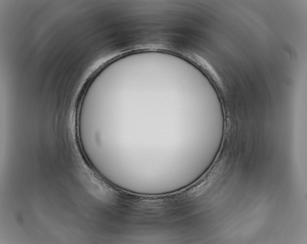 X0000111141035200906301013