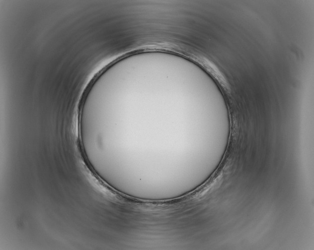 X0000111141036200906301013
