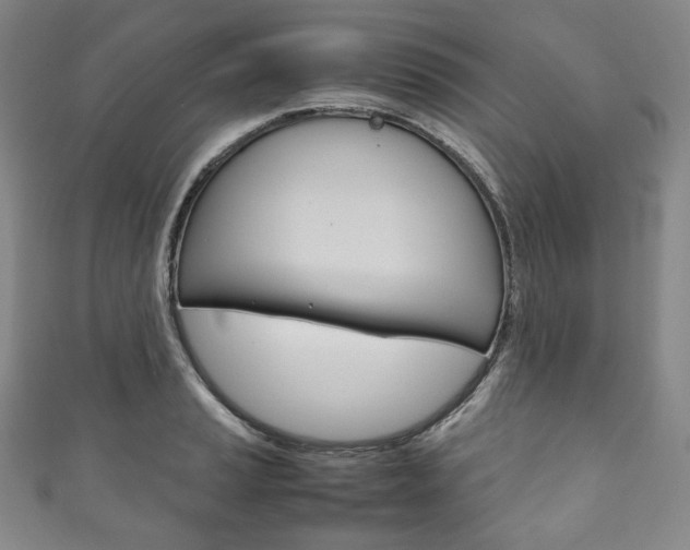 X0000111141037200906301013
