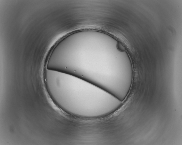 X0000111141038200906301013