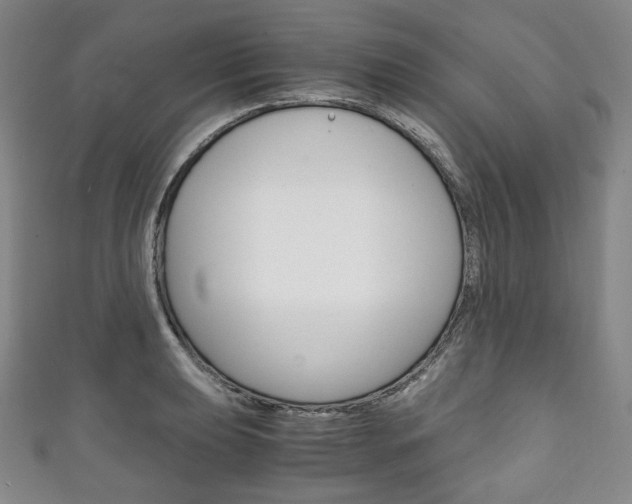 X0000111141039200906301013