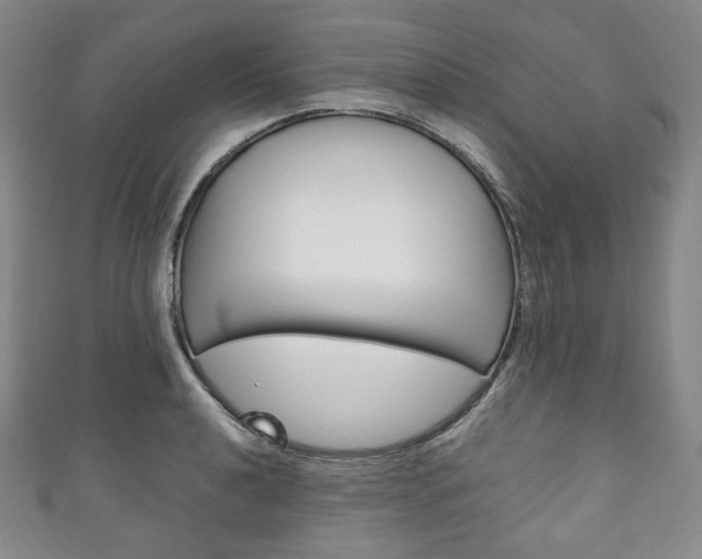 X0000111141040200906301013