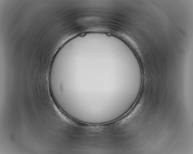X0000111141041200906301013