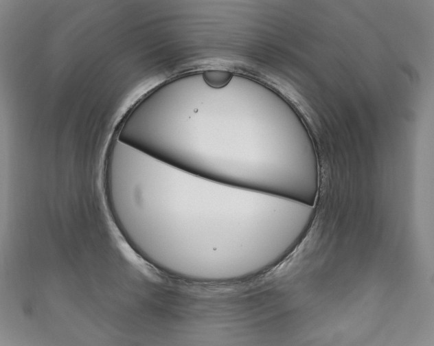 X0000111141042200906301013