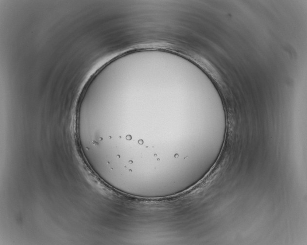 X0000111141044200906301013