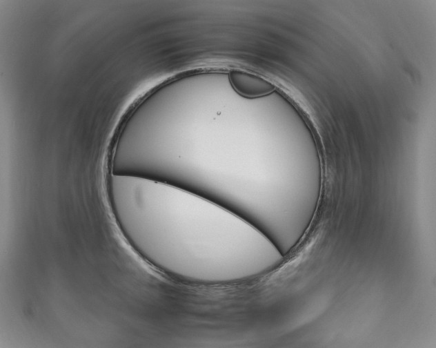 X0000111141045200906301013