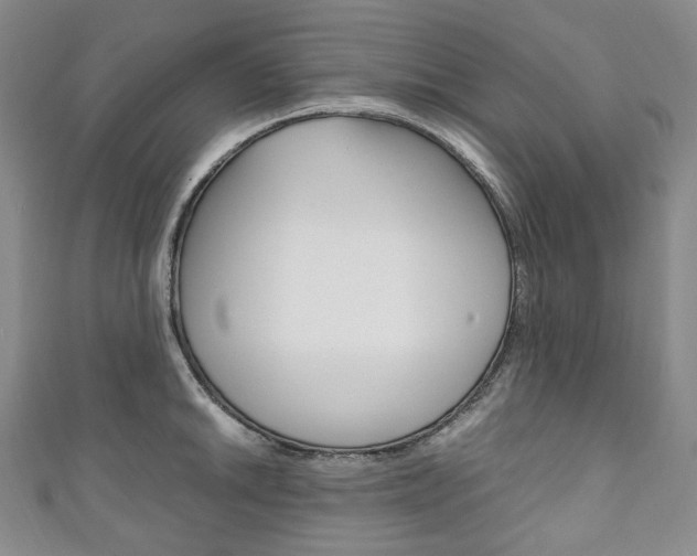 X0000111141046200906301013
