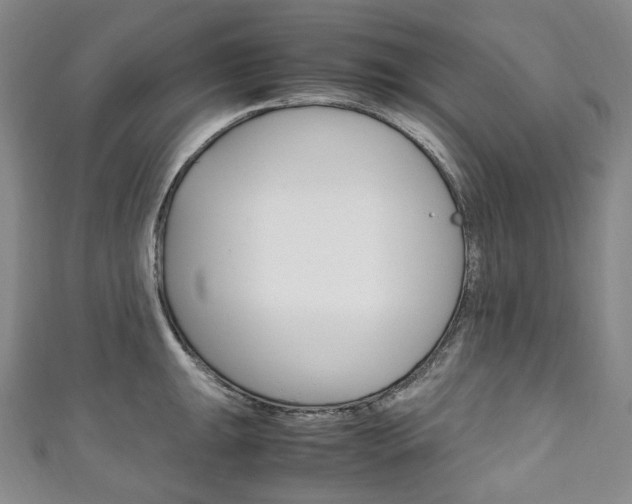 X0000111141047200906301013