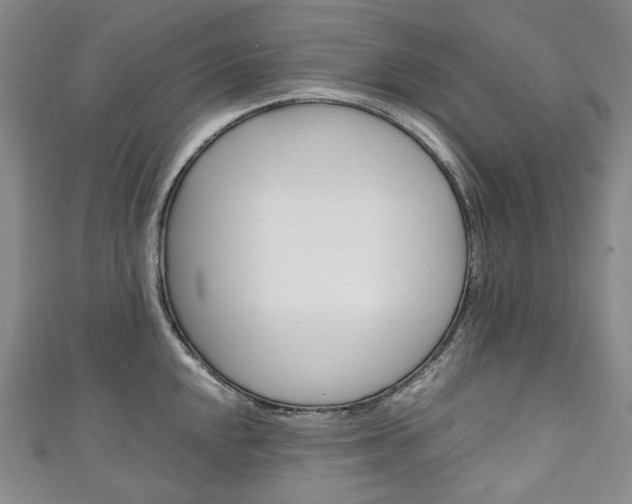 X0000111141048200906301013