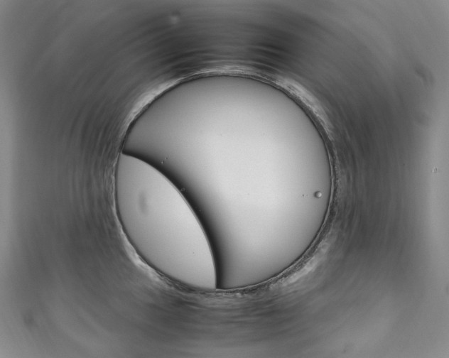 X0000111141049200906301013