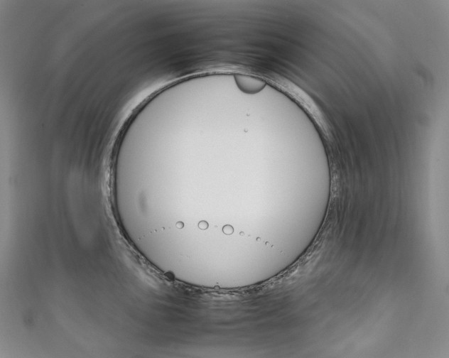 X0000111141051200906301013