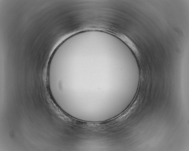 X0000111141052200906301013
