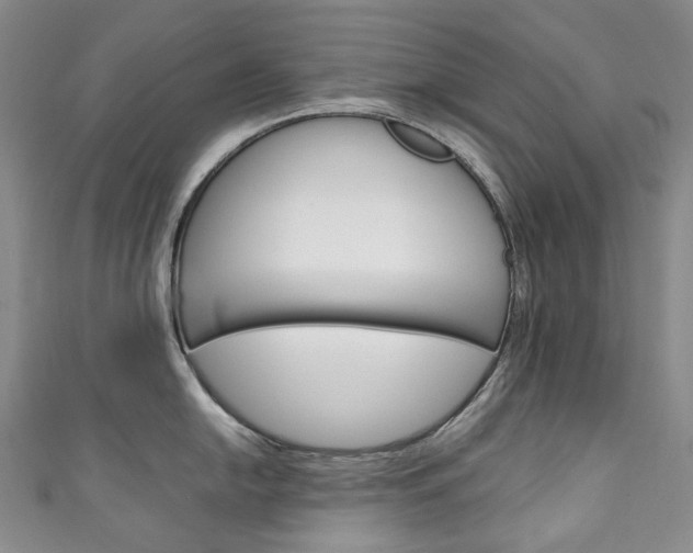 X0000111141054200906301013