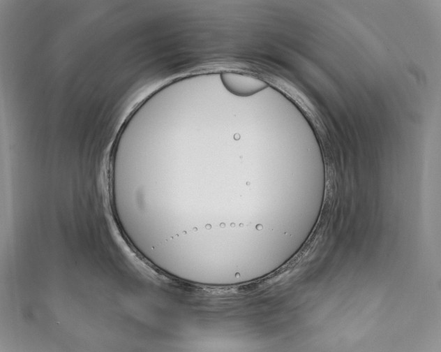 X0000111141055200906301013