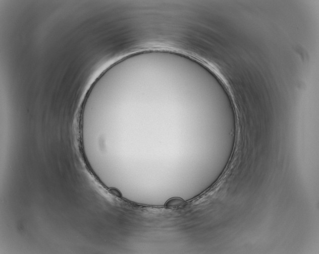 X0000111141056200906301013