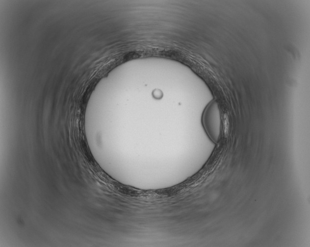 X0000111141059200906301012