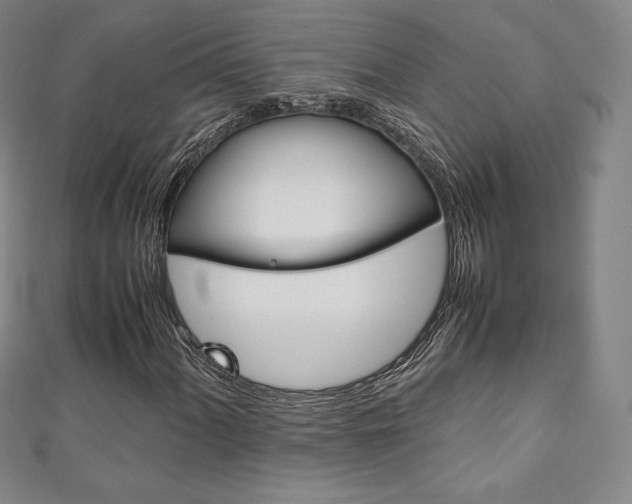 X0000111141060200906301012