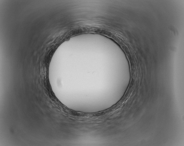 X0000111141061200906301012