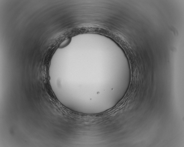 X0000111141062200906301012