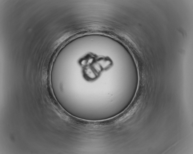 X0000111141065200906301012