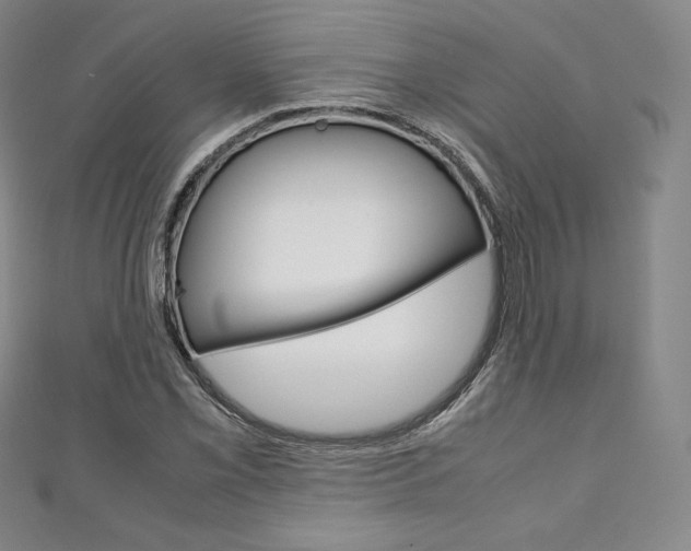 X0000111141069200906301012