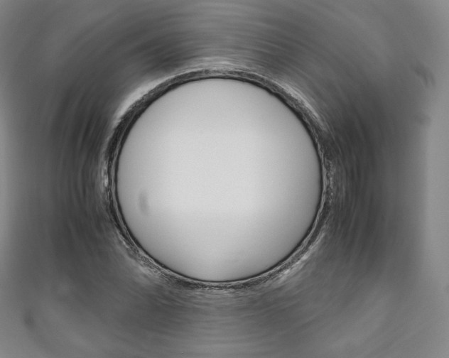 X0000111141070200906301012