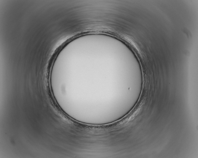 X0000111141071200906301012