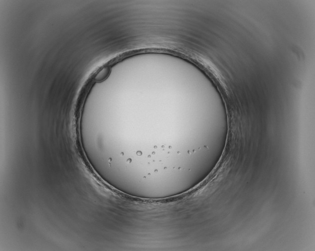 X0000111141072200906301012