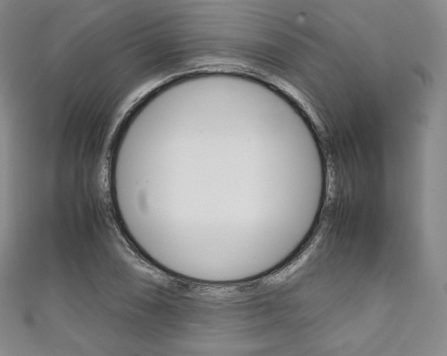 X0000111141074200906301012