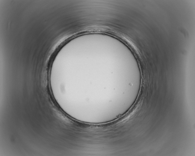 X0000111141075200906301012