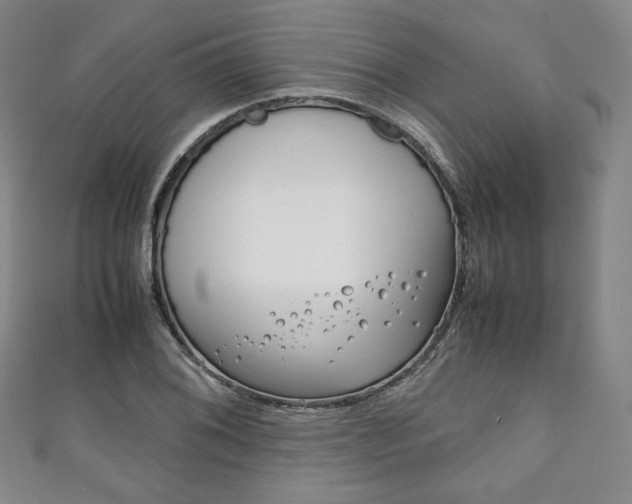 X0000111141076200906301012