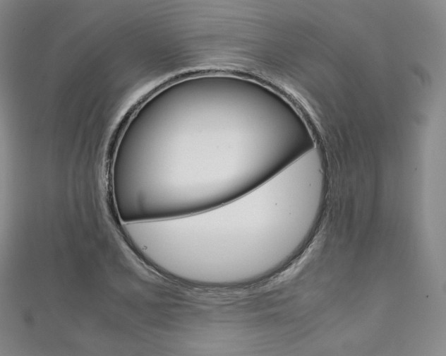 X0000111141077200906301012