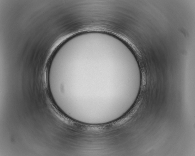 X0000111141078200906301012