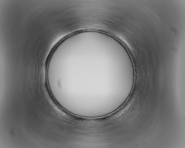 X0000111141079200906301012