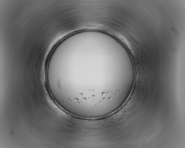 X0000111141080200906301012