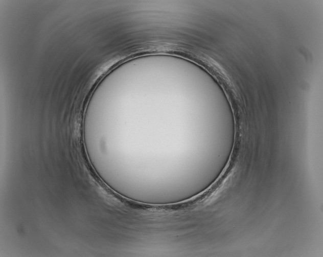 X0000111141081200906301012