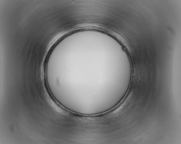 X0000111141082200906301012