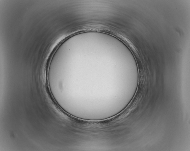 X0000111141083200906301012