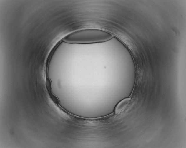 X0000111141084200906301012