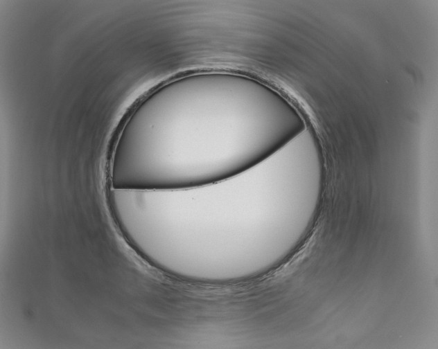 X0000111141085200906301012