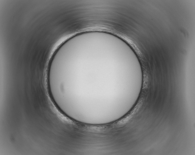 X0000111141086200906301012