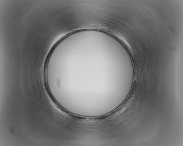 X0000111141087200906301012