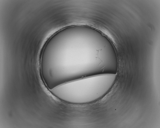 X0000111141088200906301012