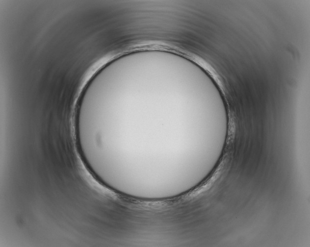 X0000111141090200906301012