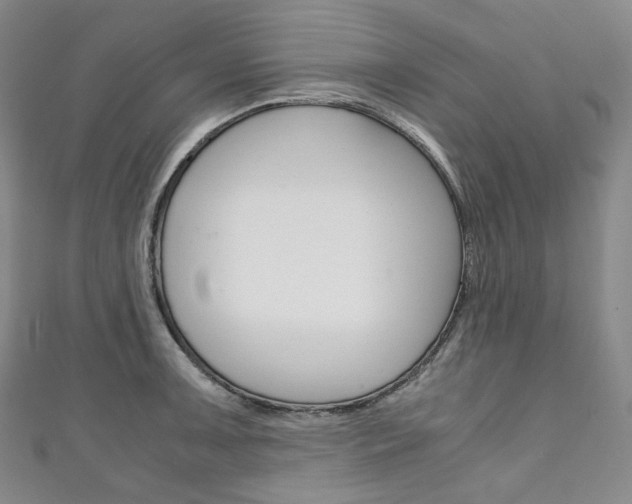 X0000111141091200906301012
