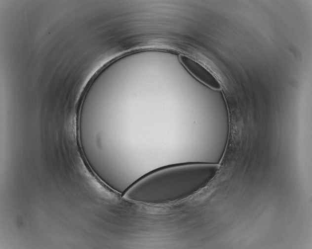X0000111141092200906301012