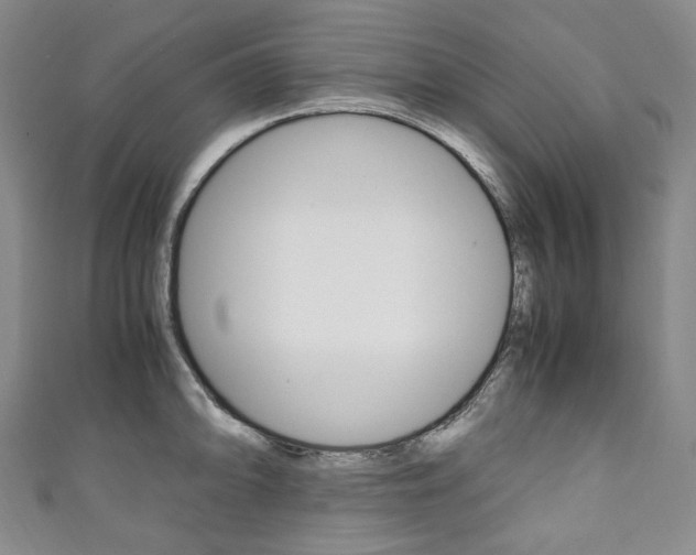 X0000111141094200906301012