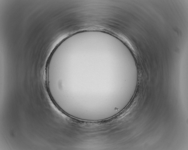 X0000111141095200906301012