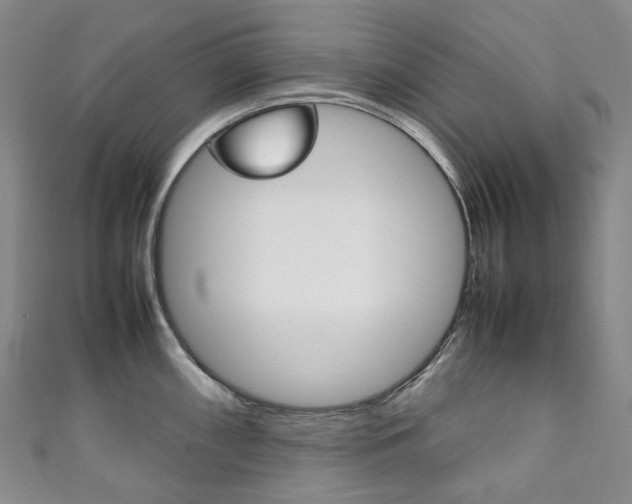 X0000111141098200906301012