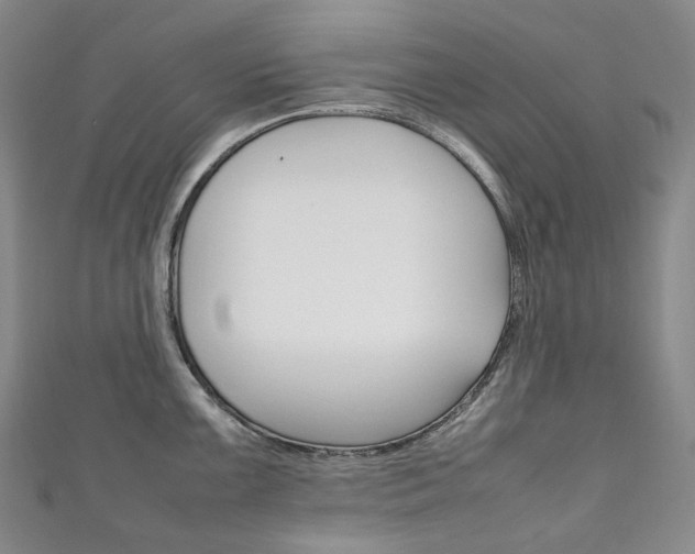 X0000111141099200906301012